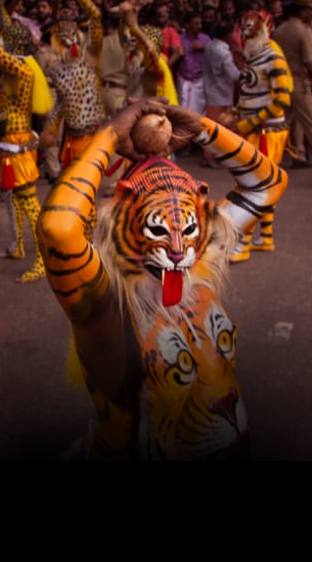 Cultural<br> Celebrations